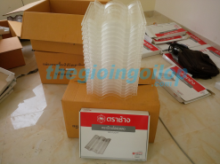 ngoi-lay-sang-thai-lan-dang-song-2