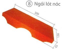 ngoi-lot-noc-fuji-the-gioi-ngoi-lop