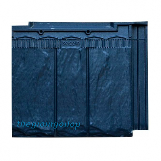 Ngoi-phang-SECOIN-SE46