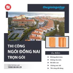 thi-cong-tron-goi-ngoi-dong-nai-the-gioi-ngoi-lop-min