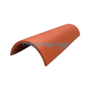 ngoi-dia-trung-hai-do-dam-the-gioi-ngoi-lop